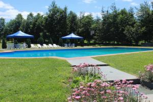 a swimming pool with chairs and flowers in the grass at Cabañas Loncoche Puerta del Sol in Loncoche