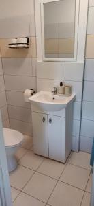 a white bathroom with a sink and a toilet at Siedlisko na Skarpie in Garcz +19 photos