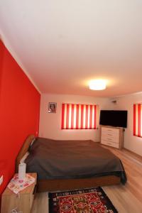 a bedroom with red walls and a bed and a television at Kicsipatak vendégház in Lunca de Sus
