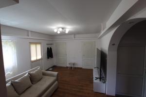 a living room with a couch and a television at Kicsipatak vendégház in Lunca de Sus +16 photos