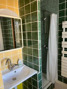 a bathroom with a sink and a shower at Le mignon in Pontcharra