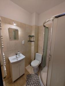 a bathroom with a toilet and a sink and a shower at Agroturystyka Biedrzycki in Nowe Guty
