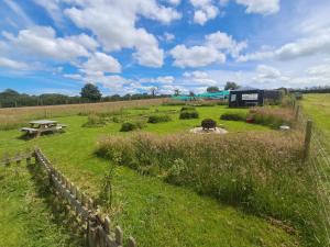 a field with a picnic table and a fence at Maisie's Campsite in Bideford
