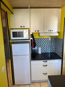 a small kitchen with a white refrigerator and a microwave at Le mignon in Pontcharra
