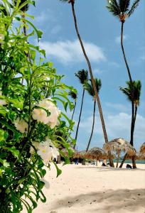 a group of palm trees on a sandy beach at Hotel Garden Flora Punta Cana Beach in Punta Cana