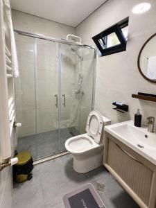 a bathroom with a shower and a toilet and a sink at Apollo Cottages Kaprovani in Urekis Sadguri +23 photos
