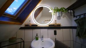 a bathroom with a sink and a mirror at Green Loft Schwarzwald - Dach-Balkon--Musik-Ecke in Winzeln +24 photos
