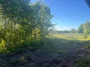 a field with a tree and a dirt road at Ediths hus in Pärup