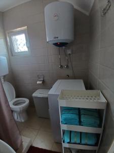 a small bathroom with a toilet and a sink at Vukota - Kuca za odmor in Plav