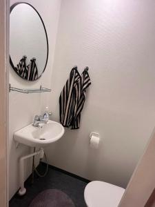 a bathroom with a sink and a mirror and a toilet at Villa Puutarha, Merikarvia in Merikarvia +19 photos