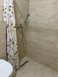 a shower in a bathroom with a shower curtain at Studio Apartment Vukcevic 3 in Golubovci