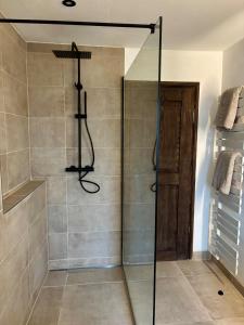 a shower with a glass door in a bathroom at Stallrefugium - between lakes, mountains and silence in Seeon-Seebruck