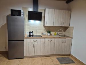 a kitchen with a refrigerator and a sink at Apartment Pod Modrzewiem in Powidz