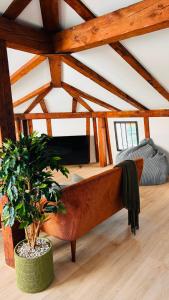 a room with a bed and a potted plant at 130sqm Duplex with AirC - Gratis Parking - Familie Freunde - See und Jura in Biel