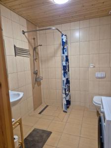 a bathroom with a shower and a toilet and a sink at Apartment Pod Modrzewiem in Powidz