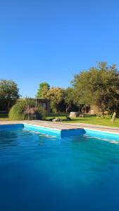 a pool of blue water with trees in the background at Complejo Don Antonio in San Agustín de Valle Fértil