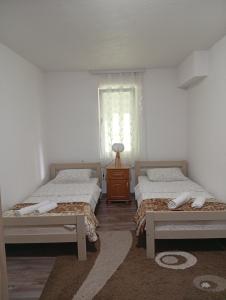 a bedroom with two beds and a window at Guest house Erdan in Plav