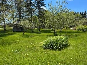 a field of green grass with trees and a building at Quaco Cottages-The Shipbuilder's Summer Kitchen in Saint Martins