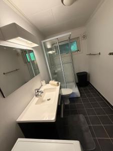 a bathroom with a white sink and a shower at Cozy apartment with two bedrooms in Tromsø