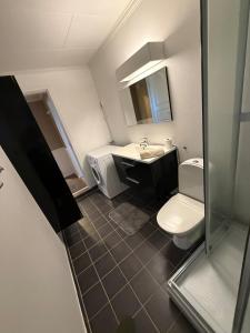 a bathroom with a sink and a toilet at Cozy apartment with two bedrooms in Tromsø +1 photo