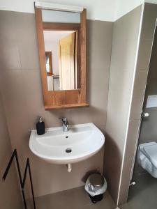 a bathroom with a sink and a mirror at Rifugio in Voga in Gordona