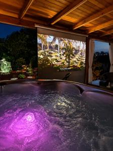 a purple bath tub with a tv in the background at Sarajevo jacuzzi sauna Forest romance lodge in Sarajevo