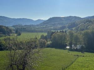 a field of green grass with trees and a fence at Gîte la Tinou in Saint-Nabord