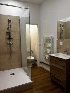 a bathroom with a shower and a sink and a toilet at Échappée Méditerranéenne in Lectoure