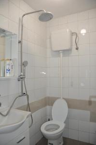 a bathroom with a toilet and a sink at Apartman San in Mostar +1 photo