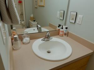 a bathroom with a white sink and a mirror at Lawrence Loft in Lawrence +17 photos