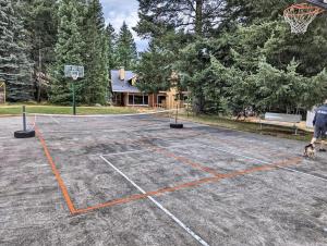 Ein Mann und ein Hund stehen auf einem Basketballplatz. in der Unterkunft Tiny Timber in Packwood