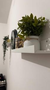 a plant in a white vase sitting on a shelf at Bilocale a 300m dal mare e 100m fermata filobus in Pescara