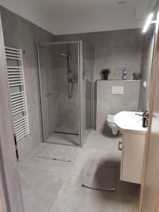 a bathroom with a shower and a toilet and a sink at Apartmán na Břehách in Veselí nad Moravou +3 photos