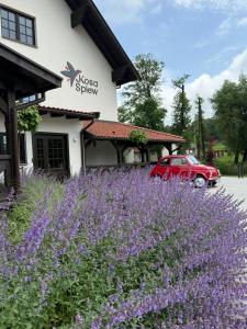 a field of purple flowers in front of a building at Kosa Śpiew Joga i Spa in Kosewo
