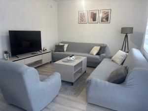 a living room with two couches and a tv at Visitor Apartment-Plav in Plav
