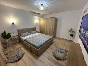 a bedroom with a bed and a flat screen tv at Lena Apartment in Calafat