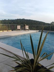 a large swimming pool with two chairs and a plant at Dream View Villa in Jadranovo