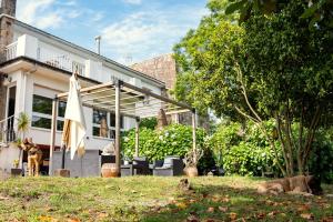 a house with two dogs laying in the grass at Villa Pepe, casa compartida in Pontevedra