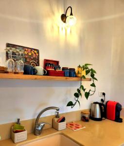 a kitchen counter with a sink and a shelf at קצה ההר in Amirim