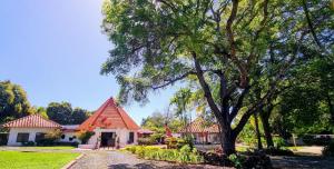 ein Haus mit rotem Dach und einem Baum in der Unterkunft Mia Nueva Gorgona in Nueva Gorgona