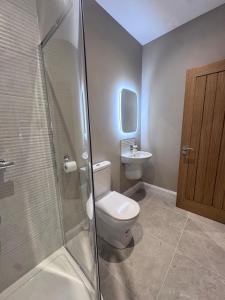 a bathroom with a toilet and a sink at Studio 4 in Portadown +9 photos