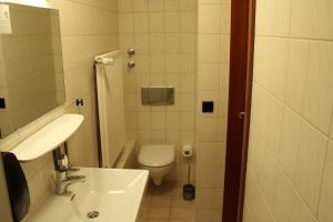 a small bathroom with a toilet and a sink at Hotel Fontana Selb in Selb
