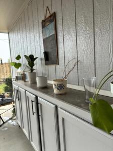 a counter with potted plants sitting on top of it at Lawrence Loft in Lawrence