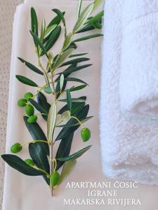 a plant on a table next to a towel at ĆOSIĆ APARTMANI IGRANE in Igrane +24 photos