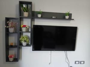 a flat screen tv hanging on a wall with plants at اوسس مارينا in `Ezbet Bûgti
