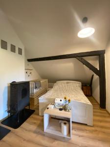 a bedroom with a bed and a table with a fireplace at Dębinówka in WilczÄ™ta