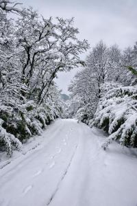 a snow covered road with trees and footprints at Apart Hotel La Busqueda in Moquehue