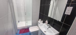 a bathroom with a sink and a toilet and a mirror at King Suite in Ipswich