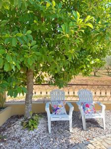 two white chairs sitting next to a tree at Casa Vicente in Lamego