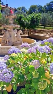 a fountain with purple flowers in a garden at Casa Vicente in Lamego